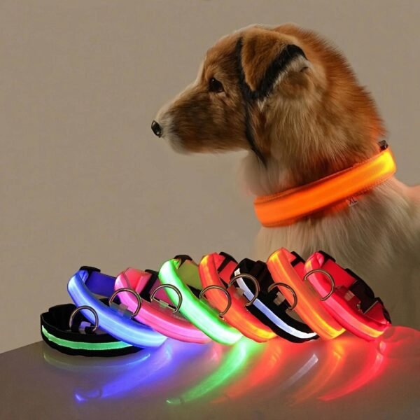 LED Pet Dog Collar with Safety Luminous Flashing Light Up, USB Rechargeable-6.99